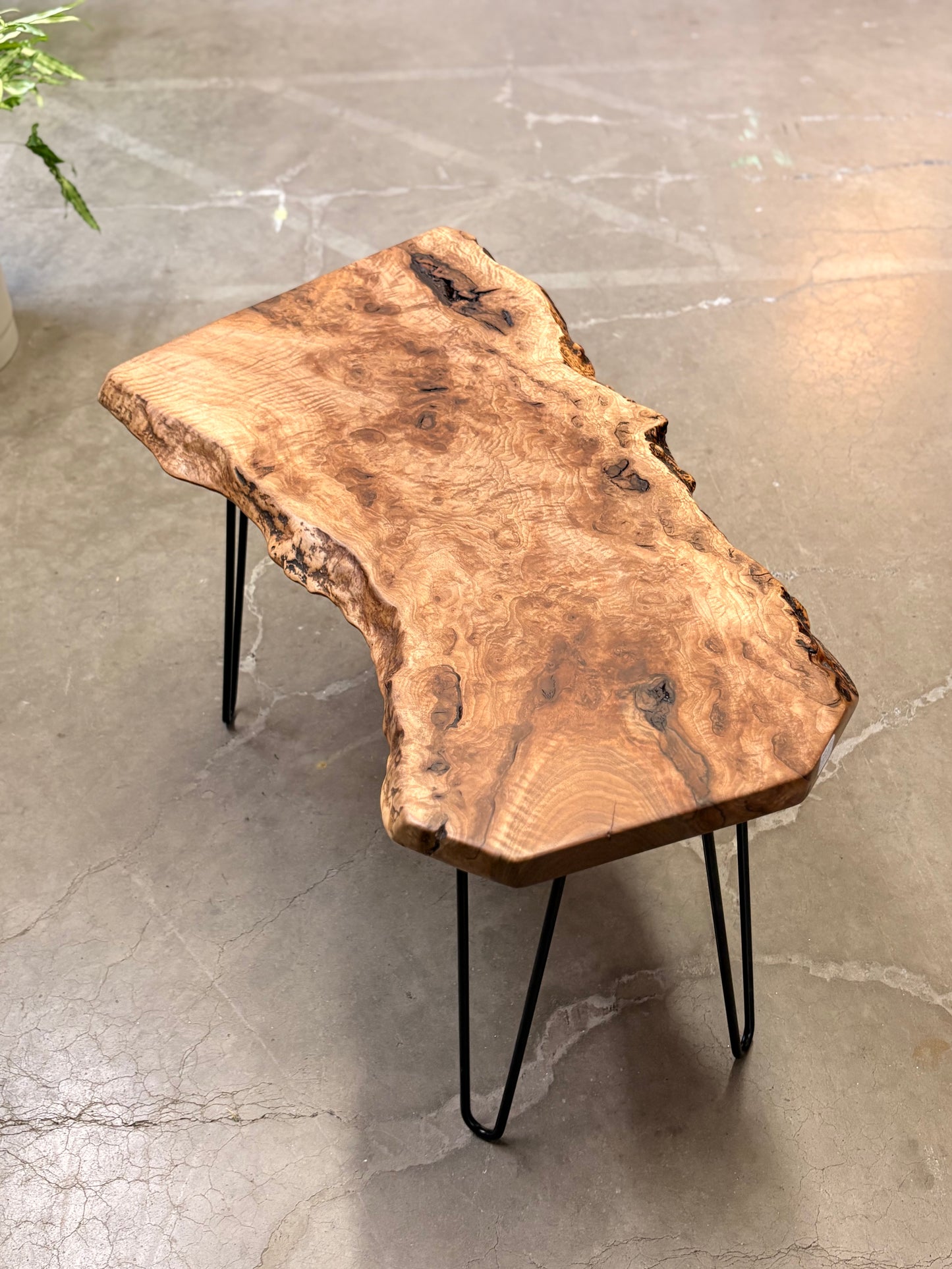 Live Edge Black Walnut Coffee Table