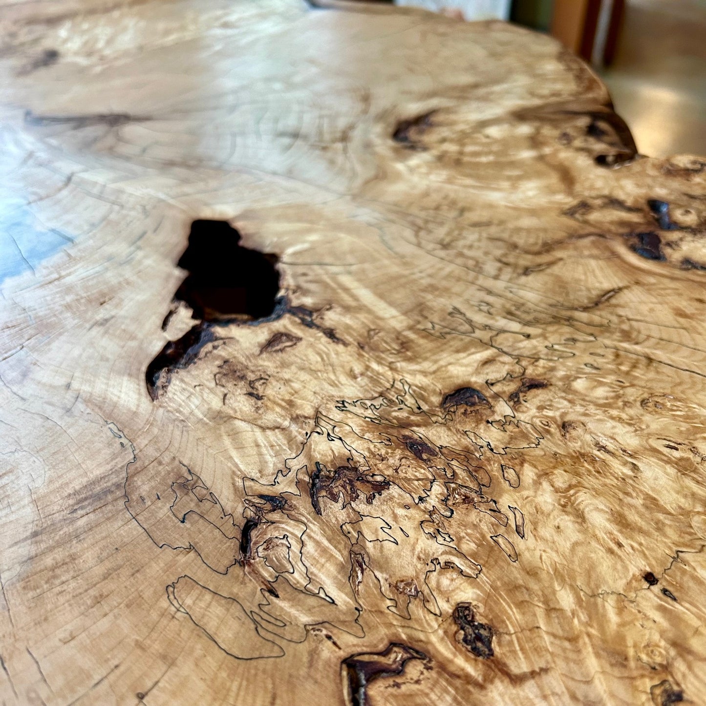 Burled Horse Chestnut Coffee Table