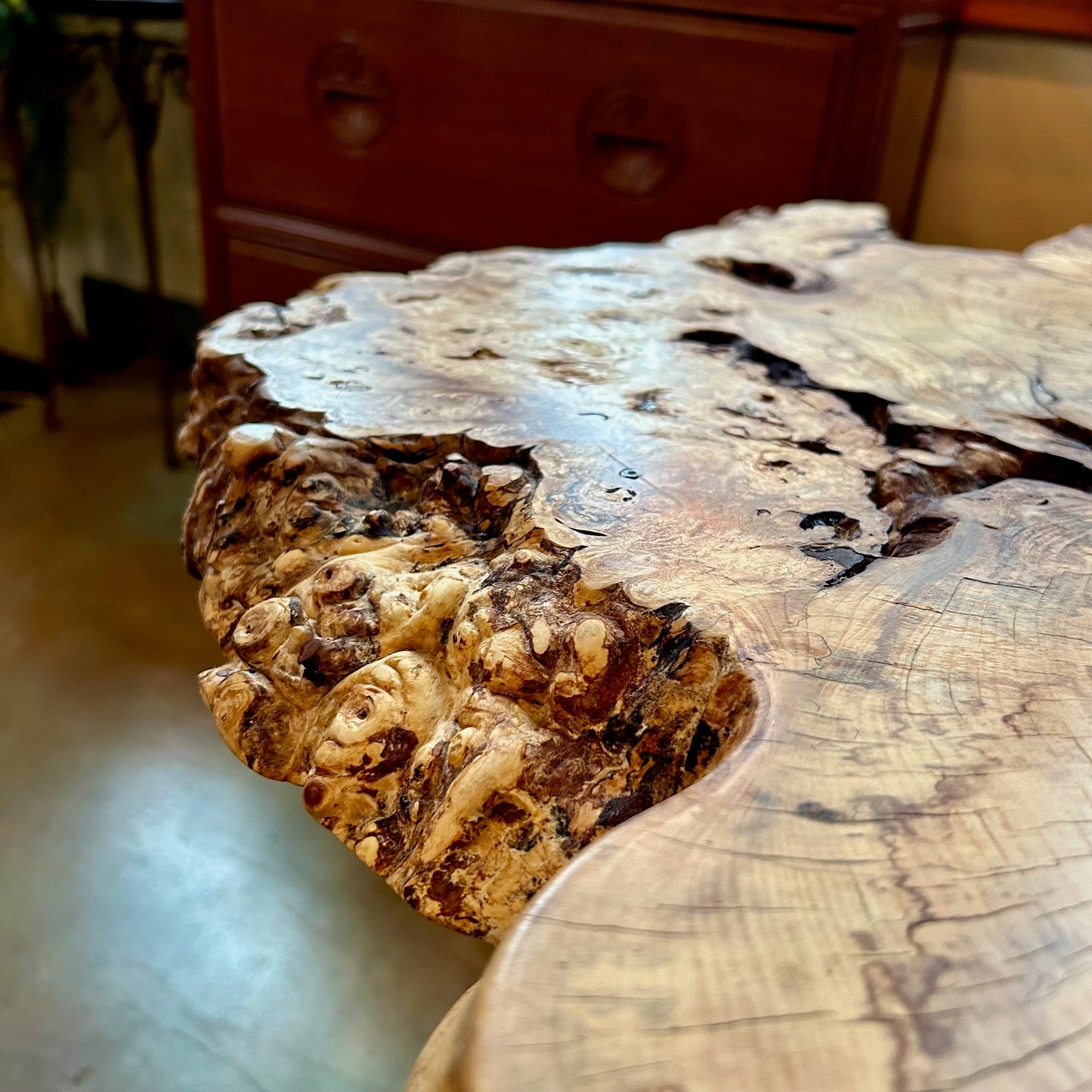 Burled Horse Chestnut Coffee Table