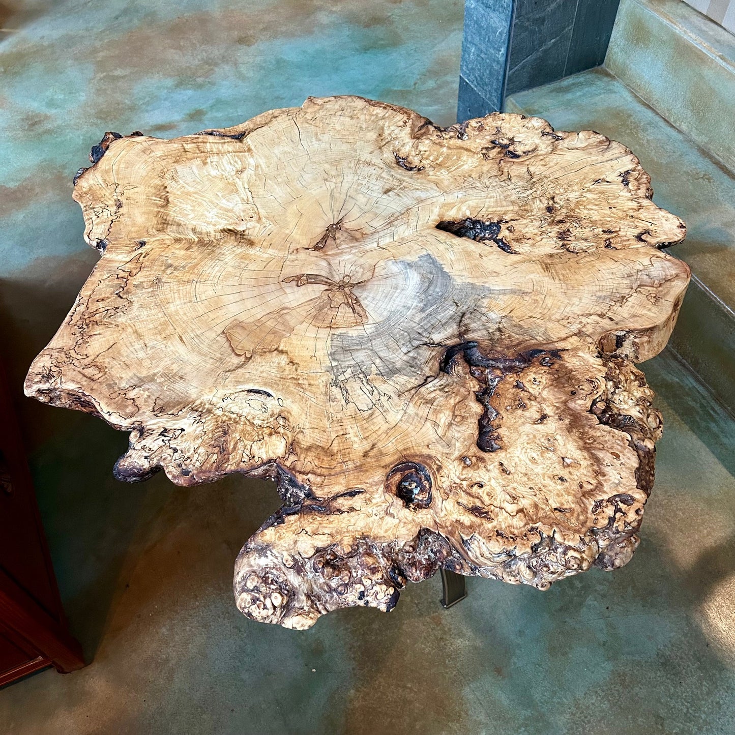 Burled Horse Chestnut Coffee Table