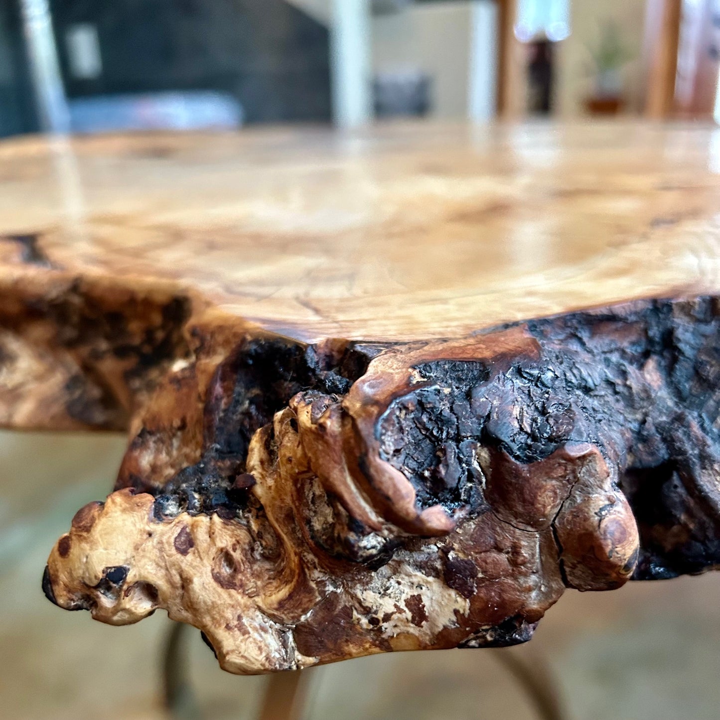 Burled Horse Chestnut Coffee Table