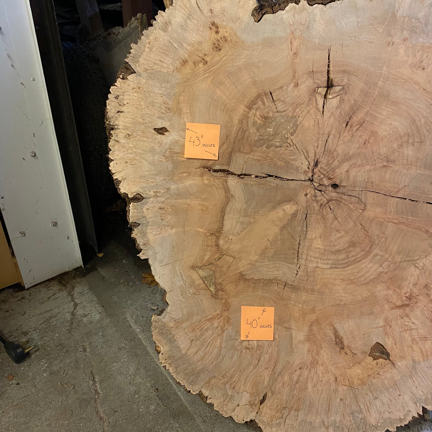 Big Leaf Maple Burl Round Slab
