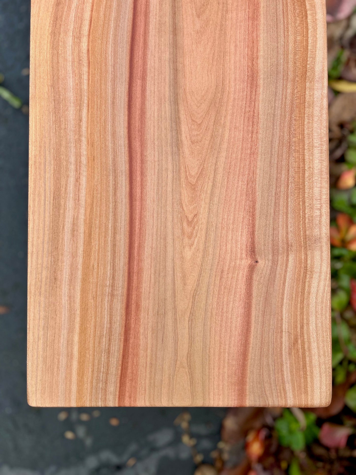 Madrone Bench - SOLD!