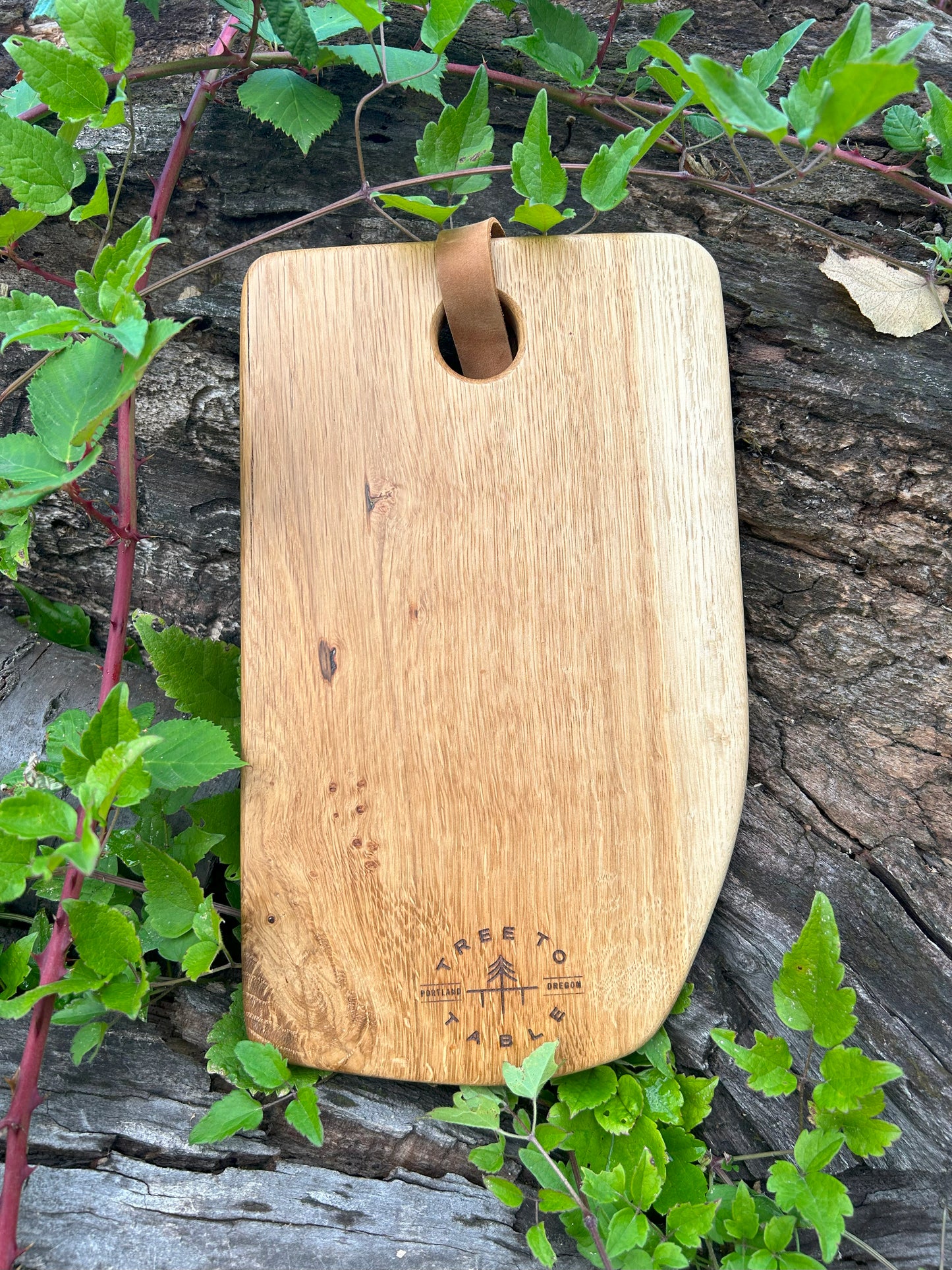The Spider Board