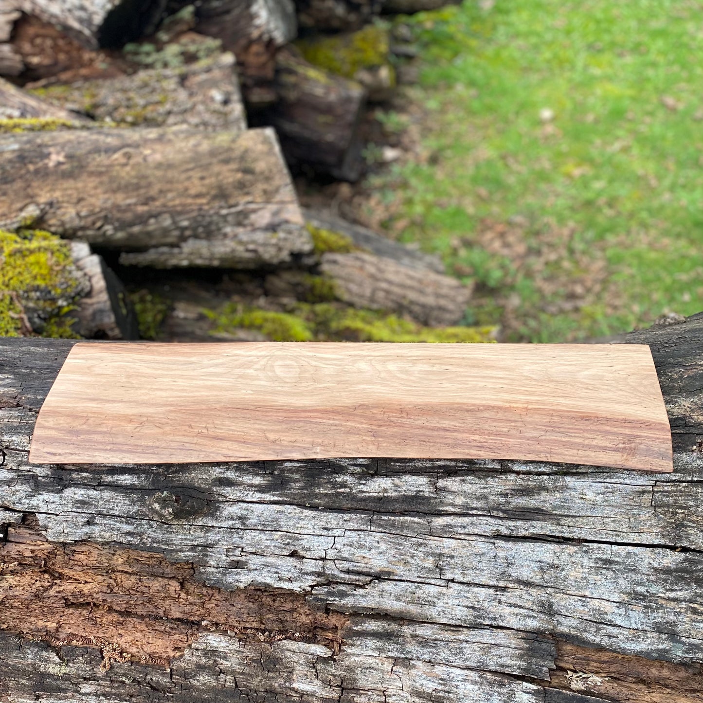 Black Walnut Shelf