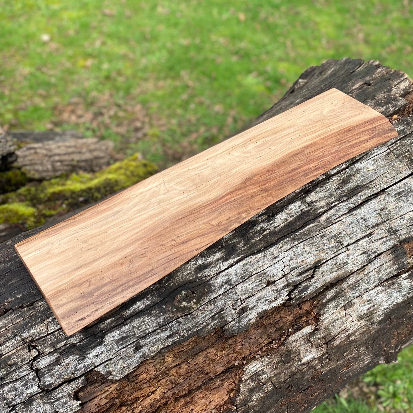Black Walnut Shelf