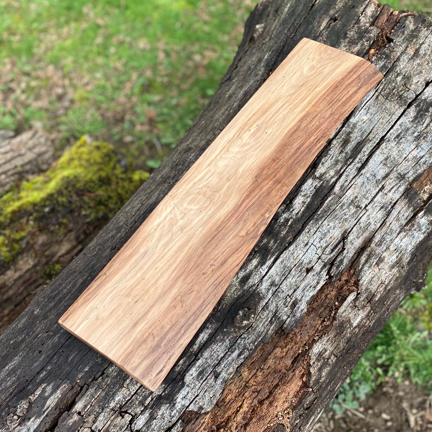 Black Walnut Shelf