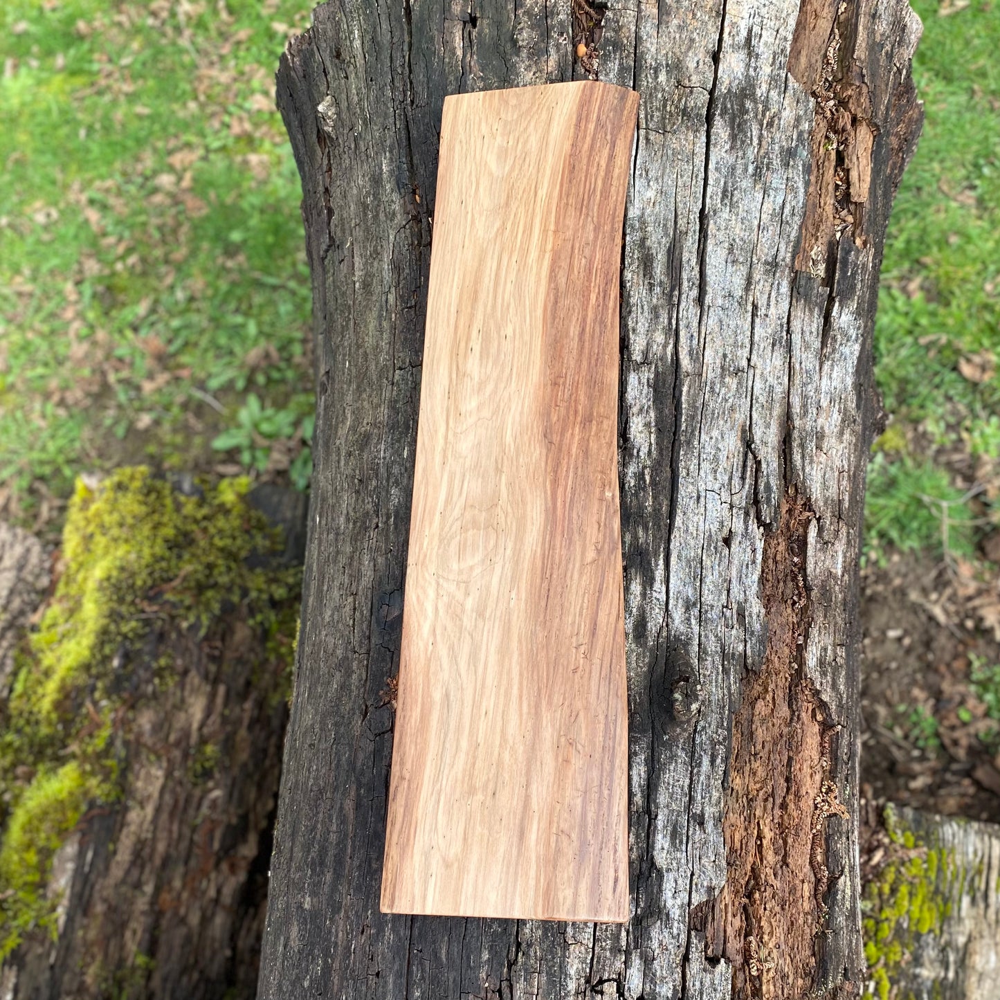 Black Walnut Shelf