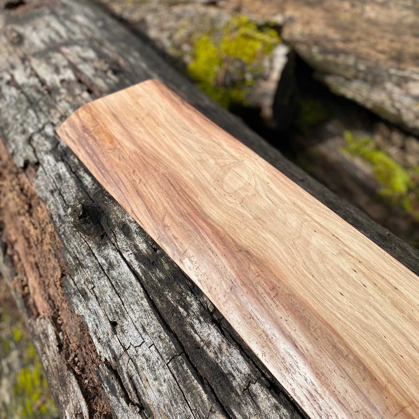 Black Walnut Shelf