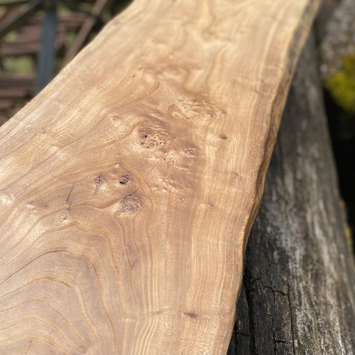 Elm Table-Topper