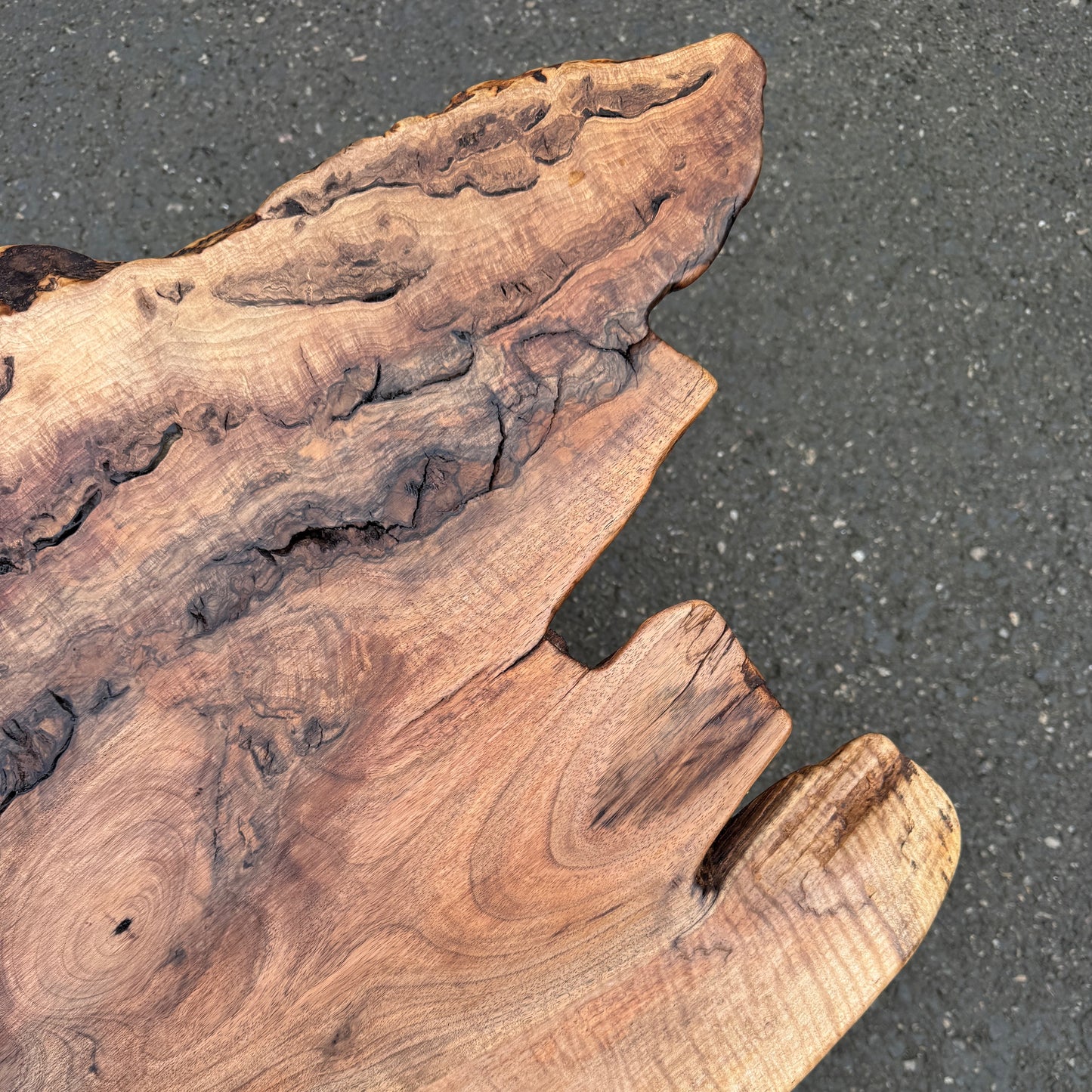 Live Edge Black Walnut Coffee Table