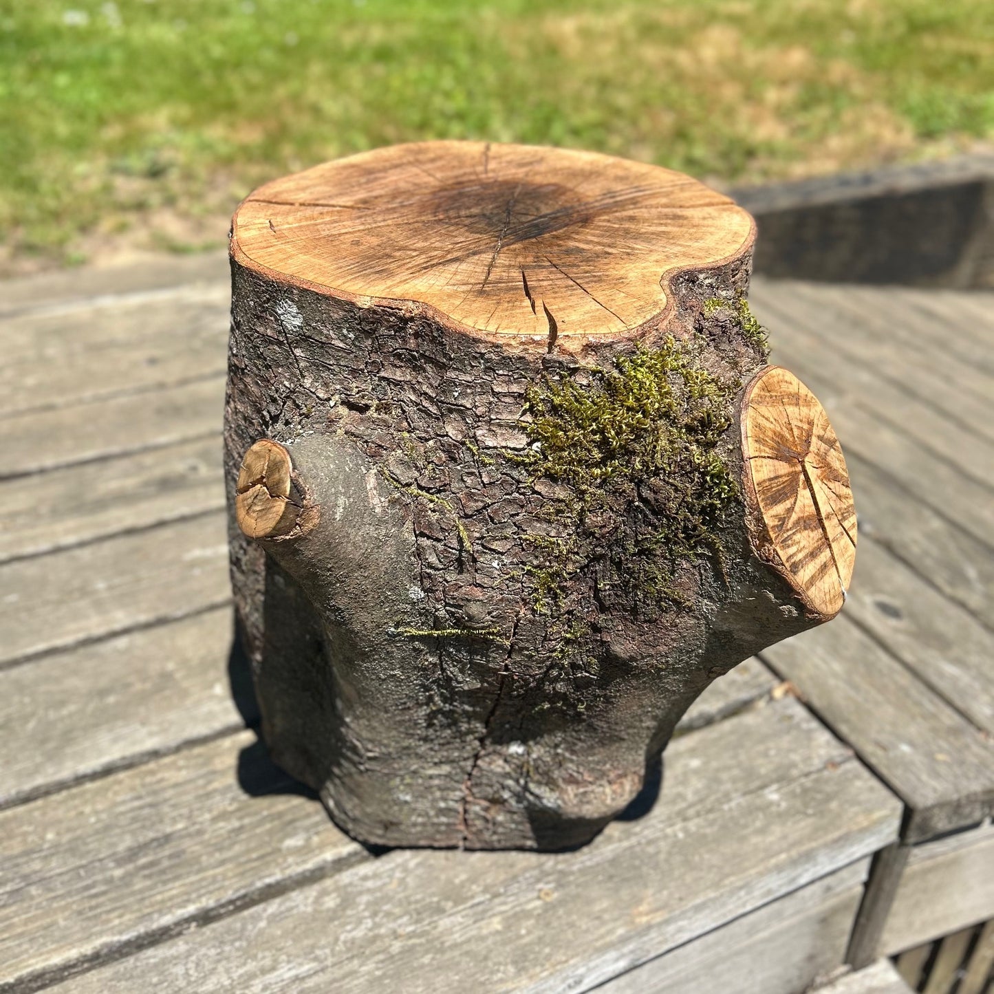 Dogwood Round