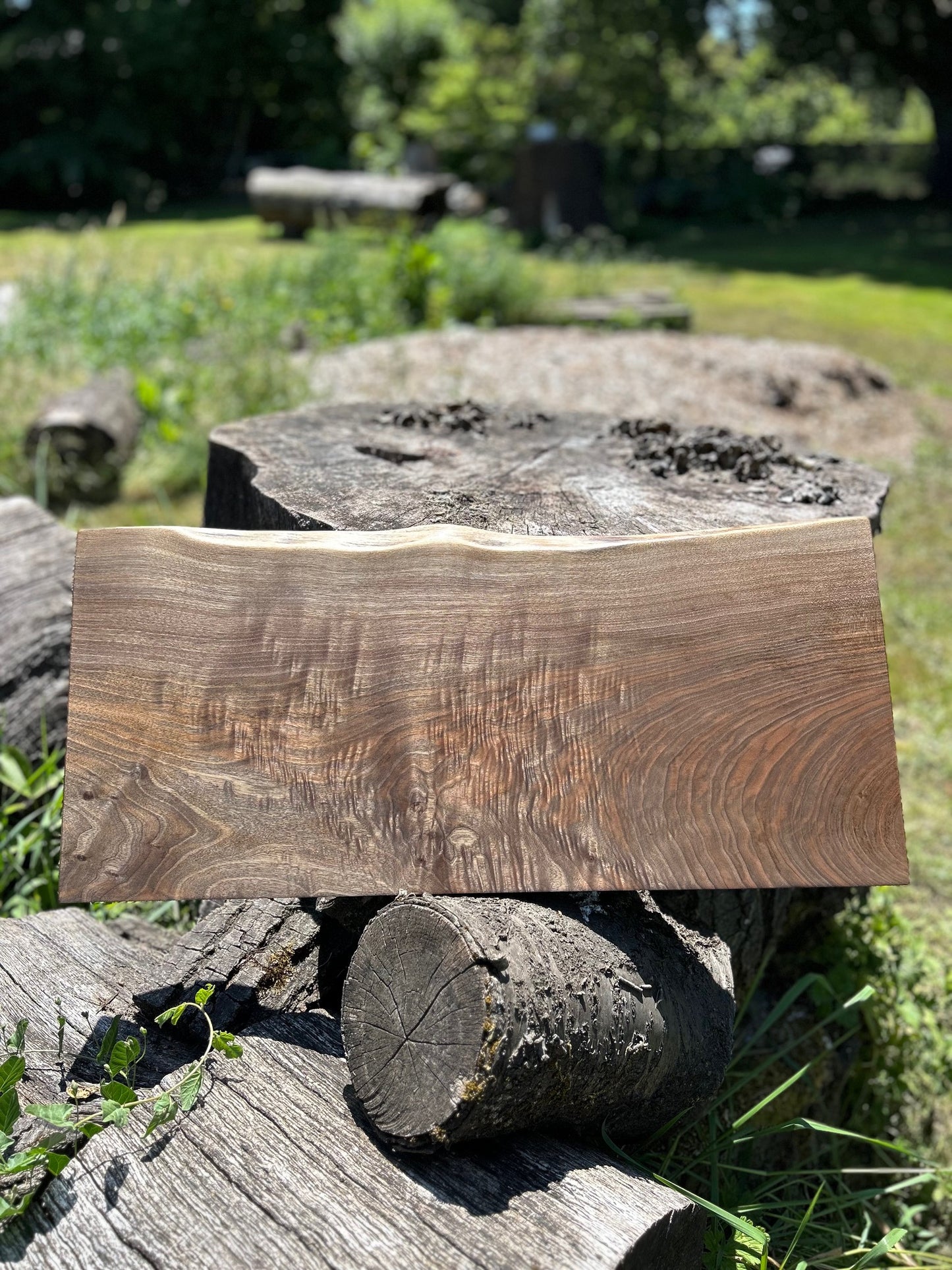 Black Walnut Shelf