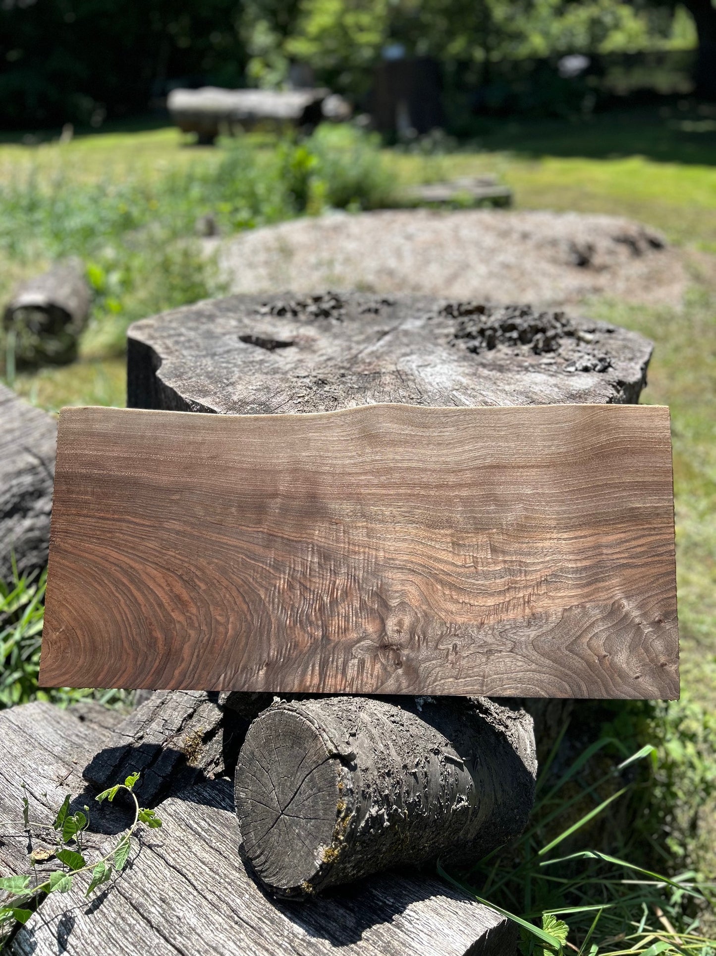 Black Walnut Shelf