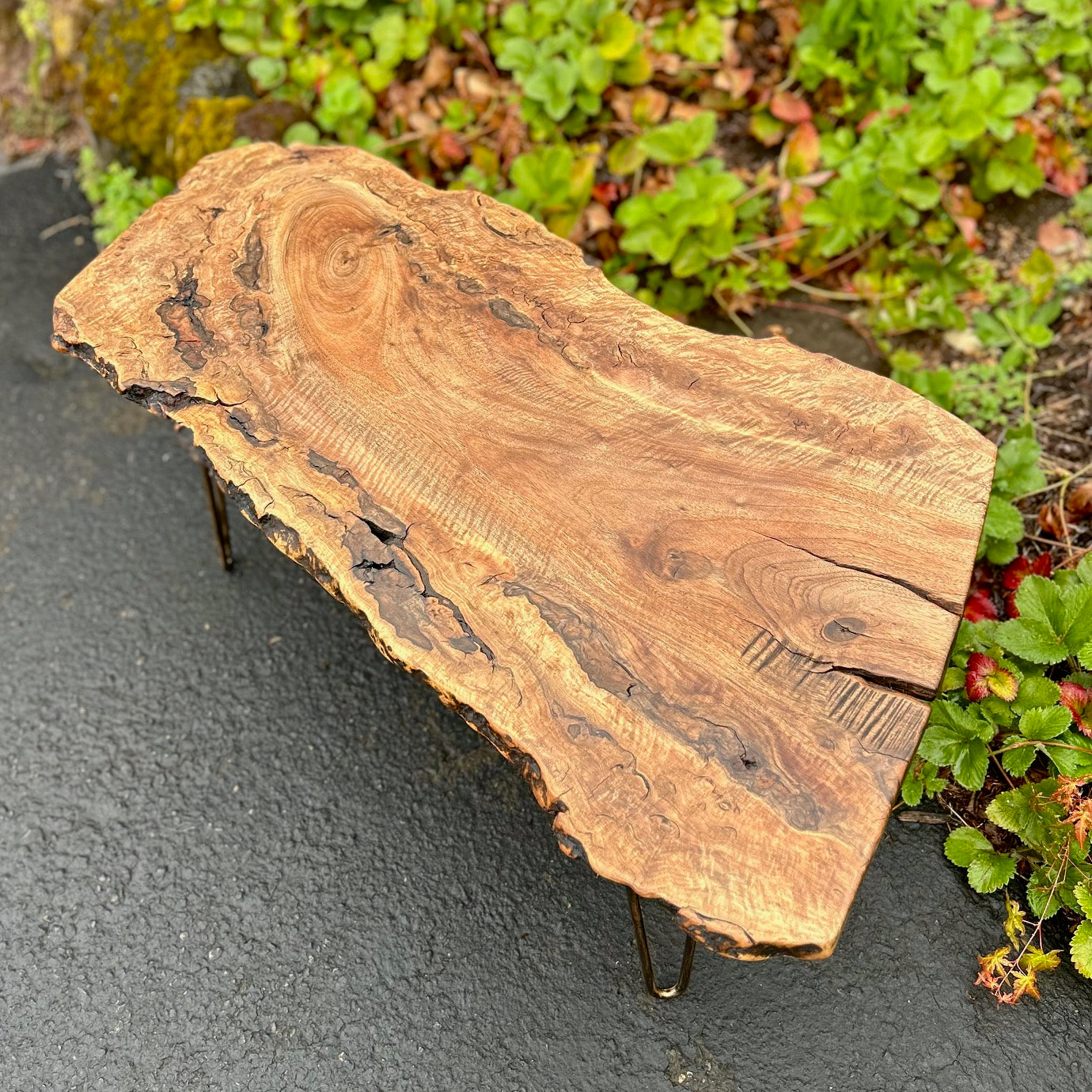 Black Walnut Coffee Table