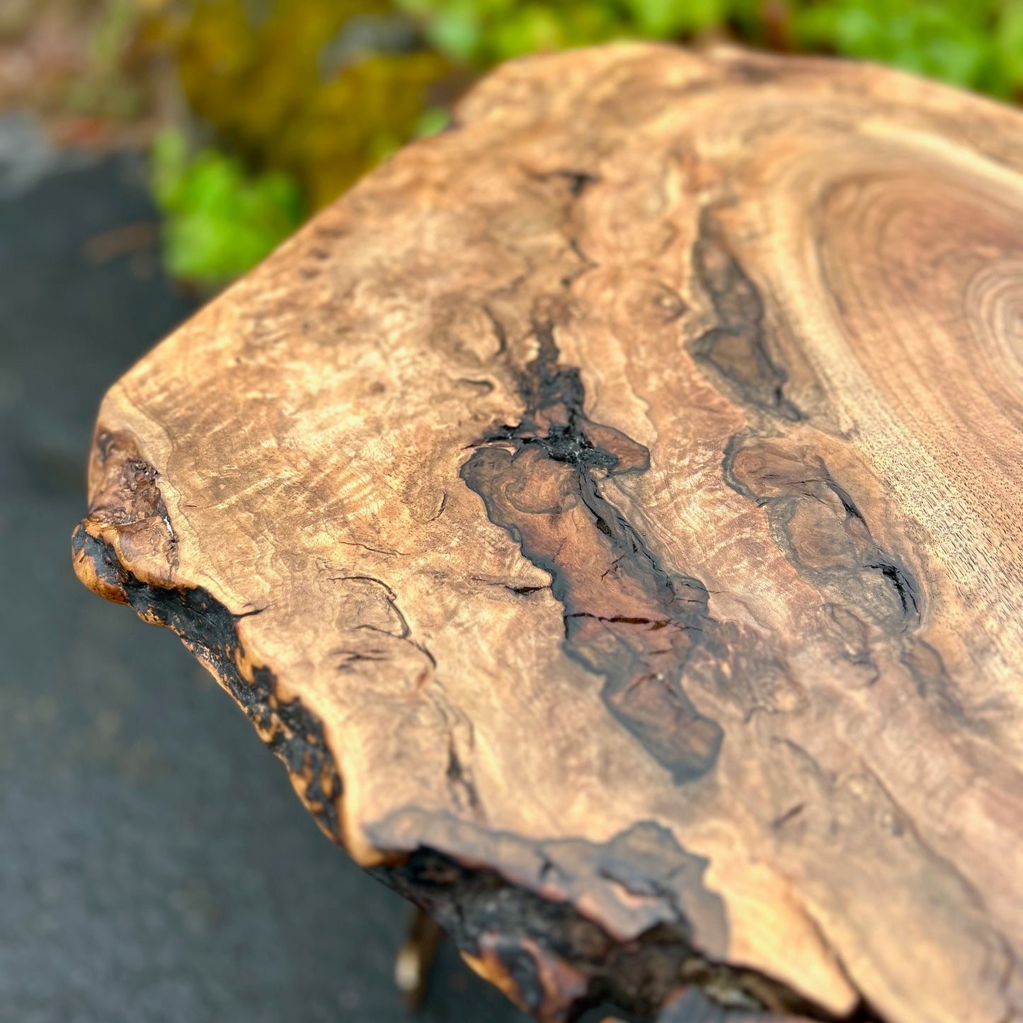 Black Walnut Coffee Table