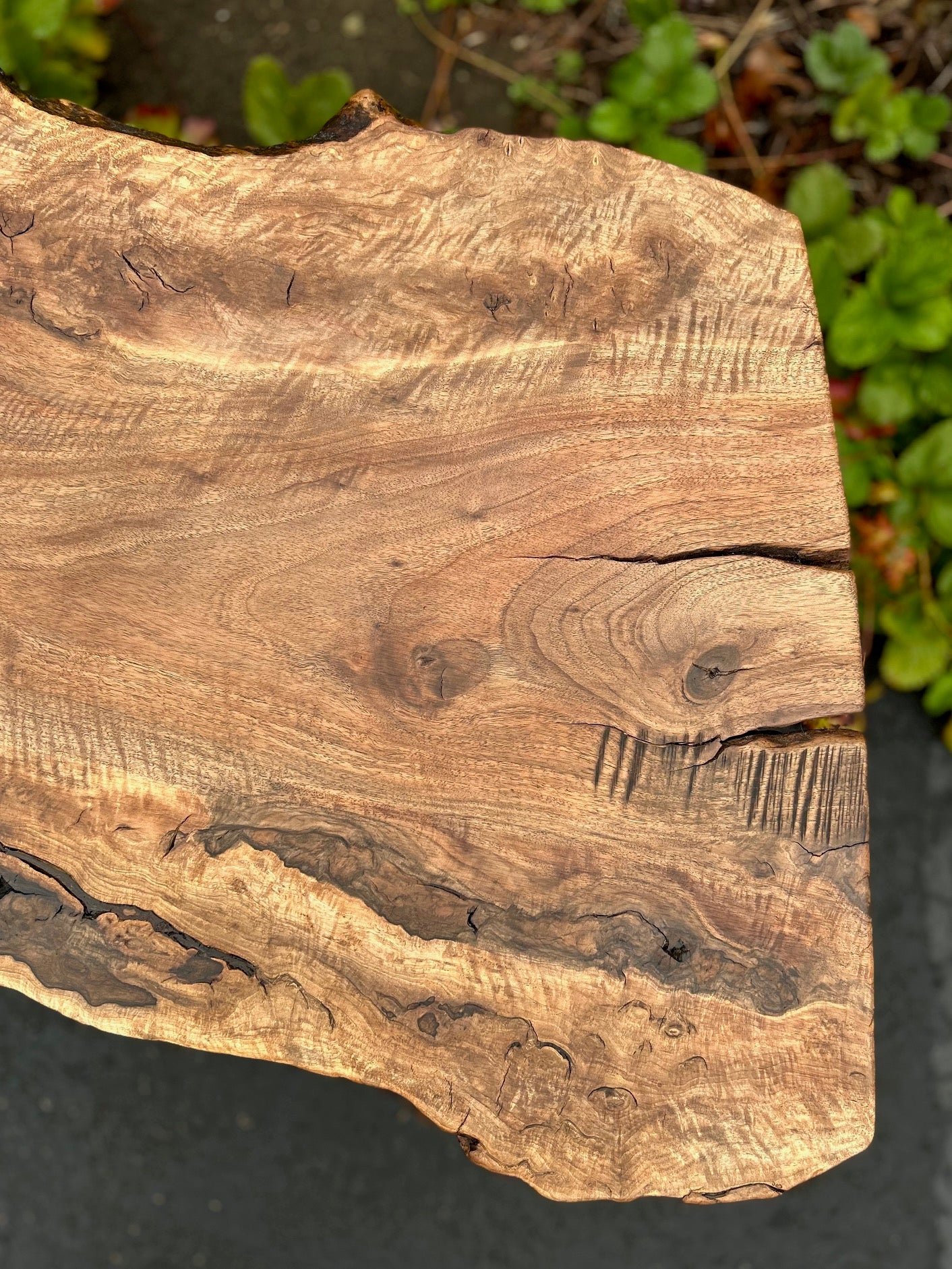 Black Walnut Coffee Table