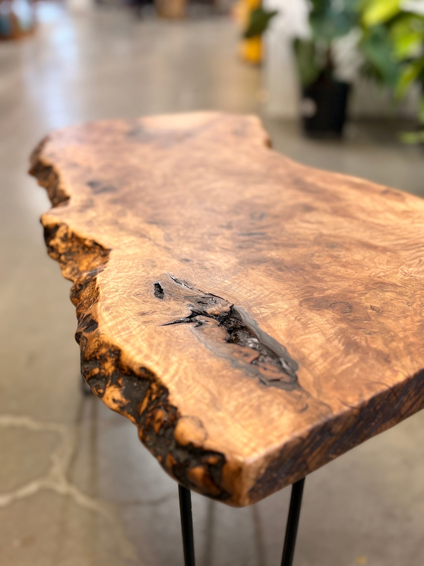 Live Edge Black Walnut Coffee Table
