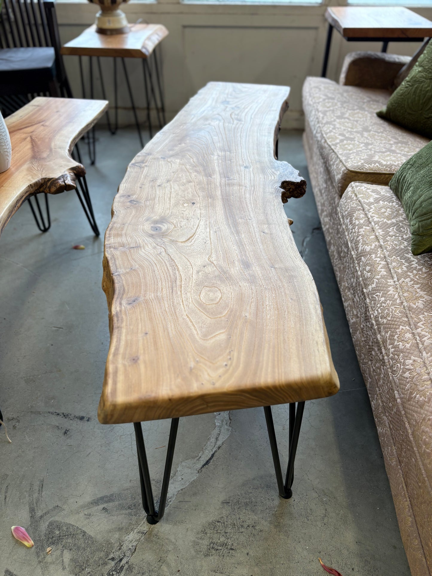 Elm Coffee Table