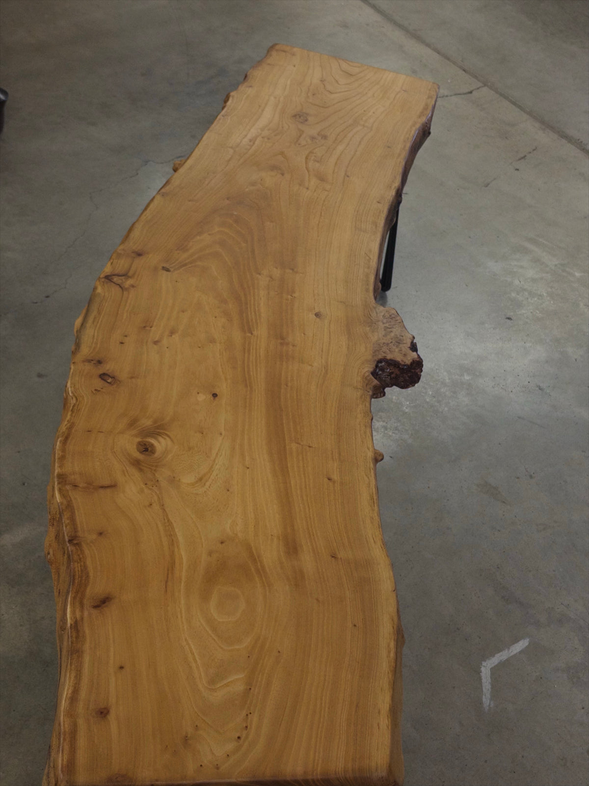 Live Edge Figured Elm Coffee Table