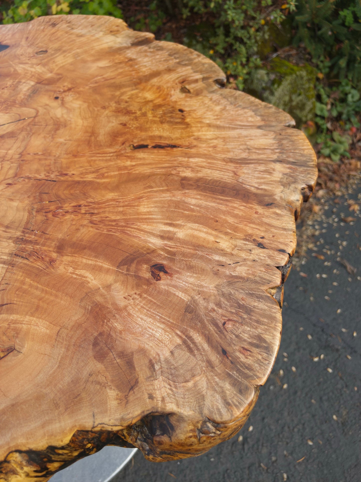 Burled Maple Table