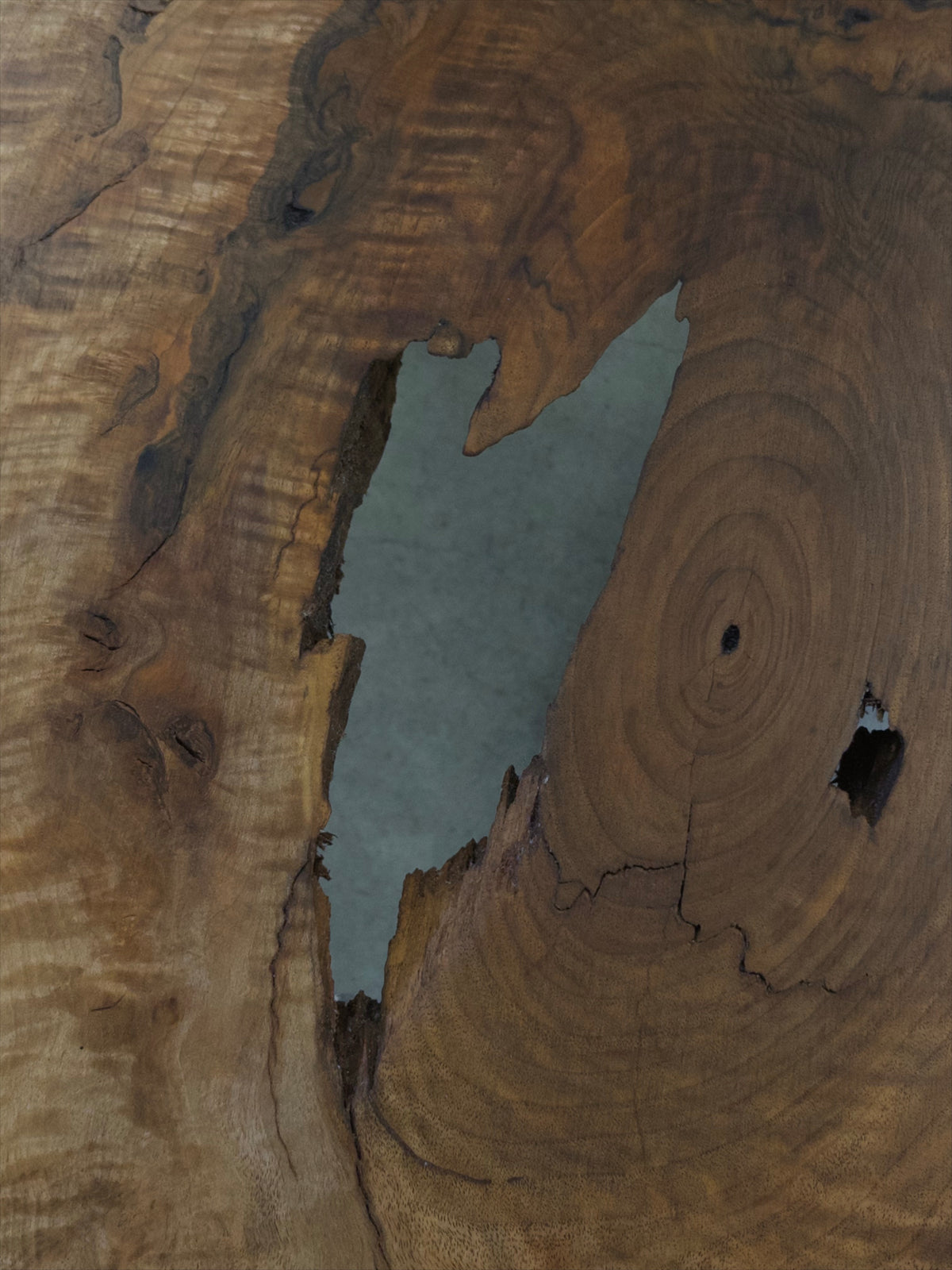 Rustic Live Edge Black Walnut Coffee Table with Wood Legs