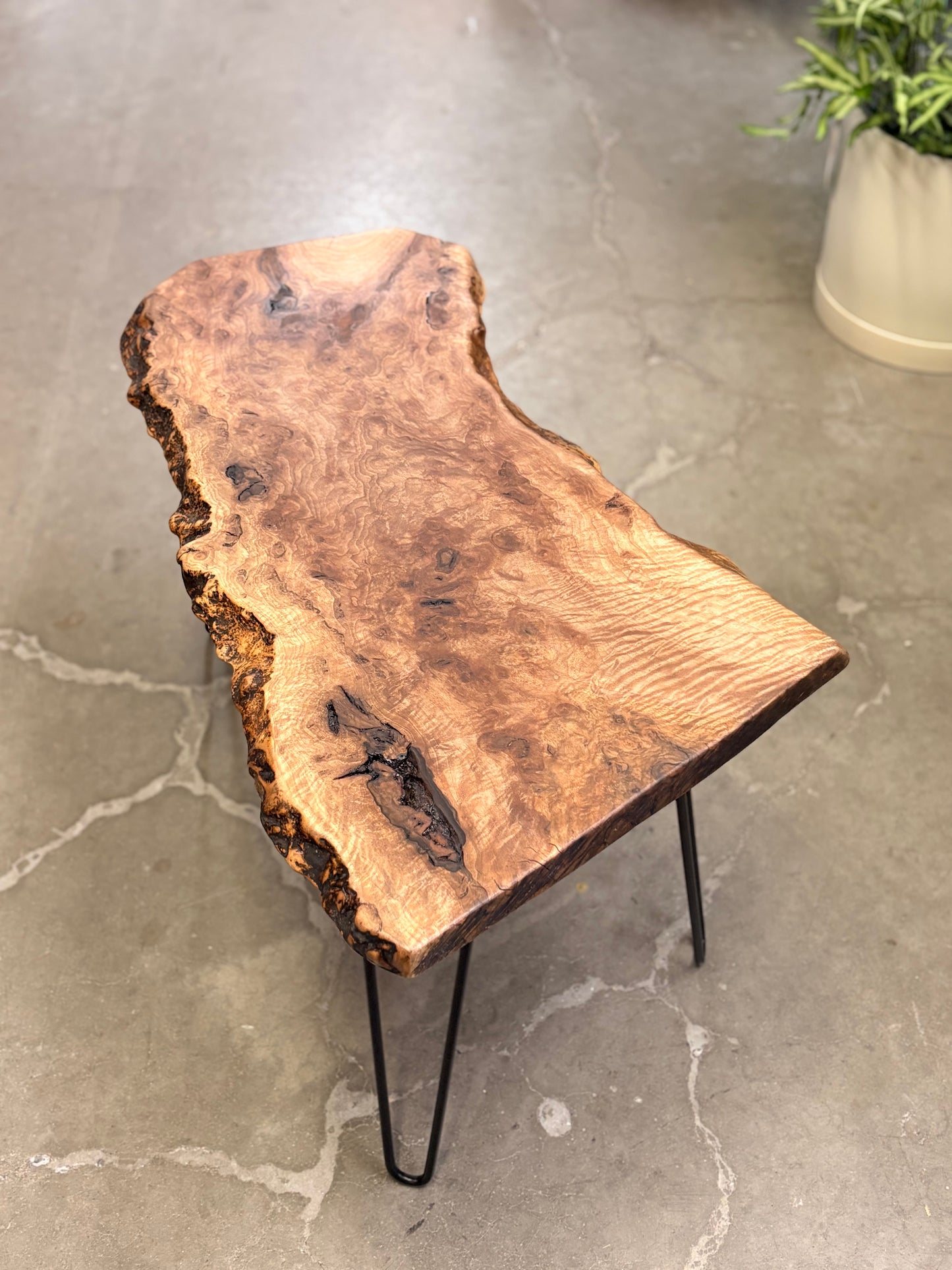 Live Edge Black Walnut Coffee Table