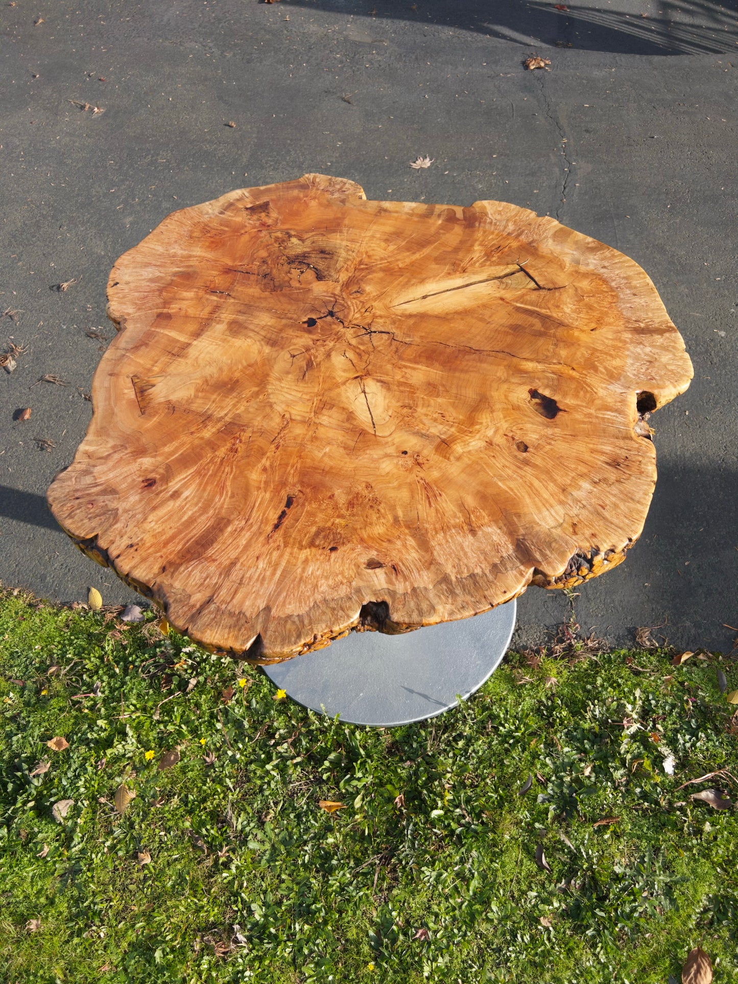 Burled Maple Table