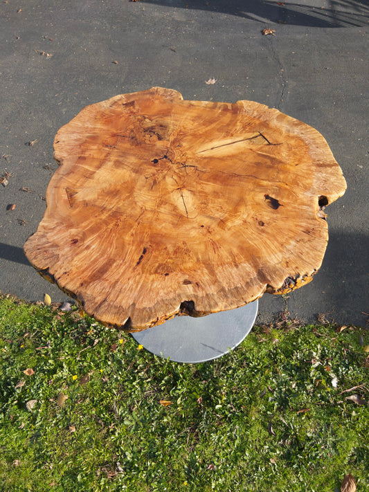 Burled Maple Table
