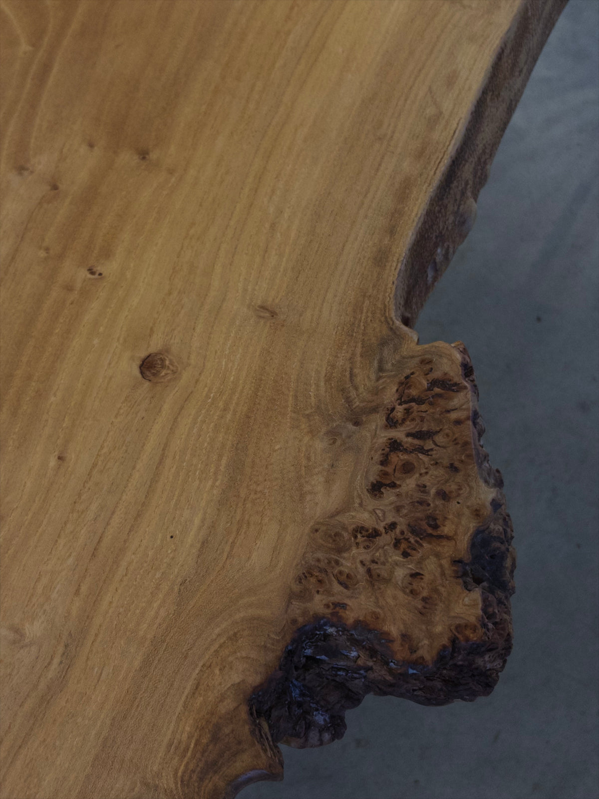 Live Edge Figured Elm Coffee Table