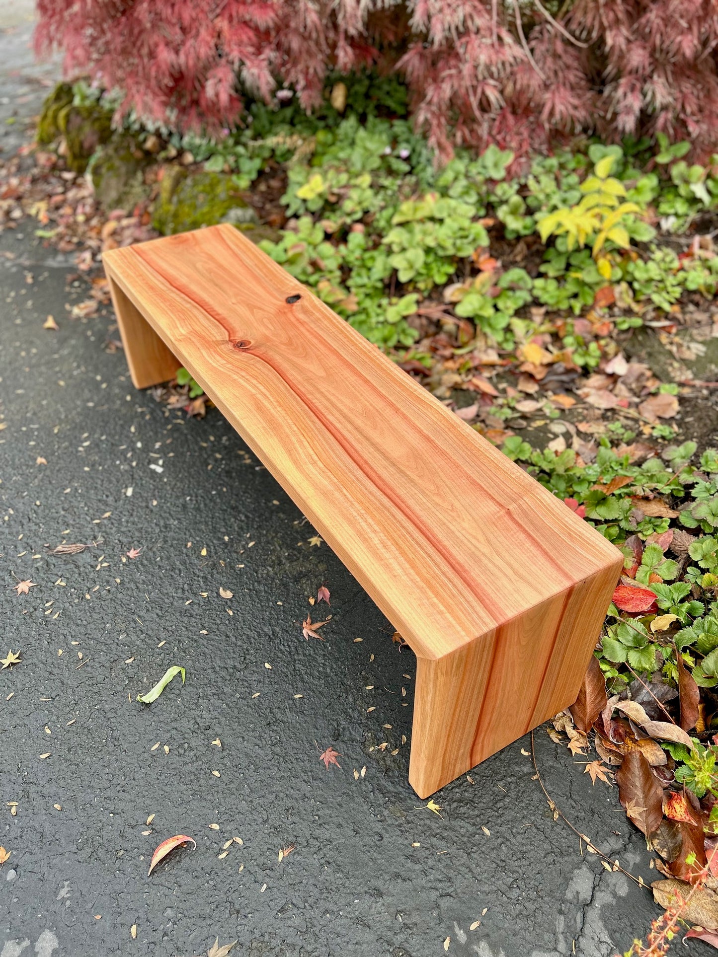 Madrone Bench - SOLD!