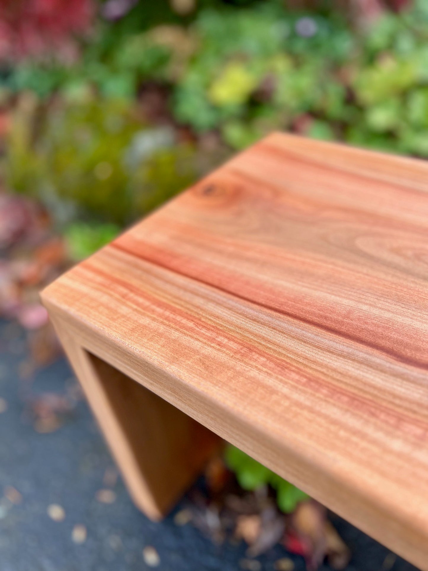 Madrone Bench - SOLD!