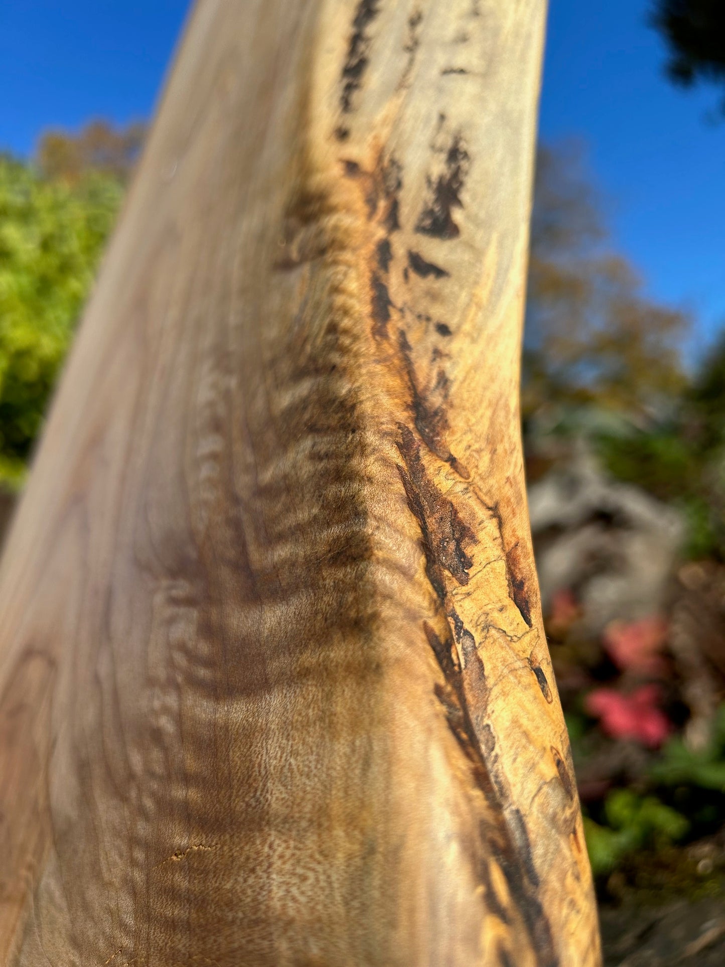 Large Maple Shelf