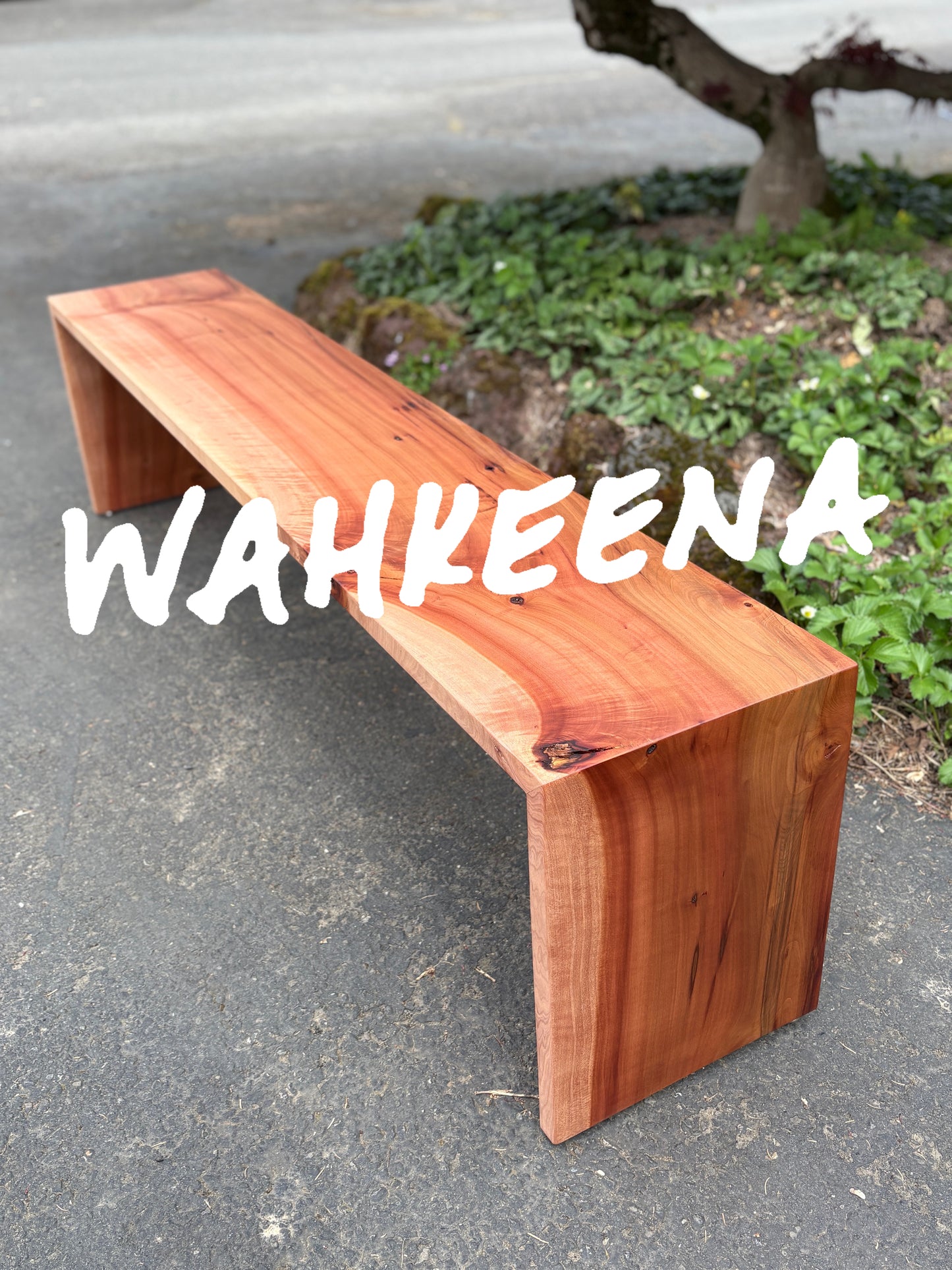 Large Wahkeena Madrone Bench