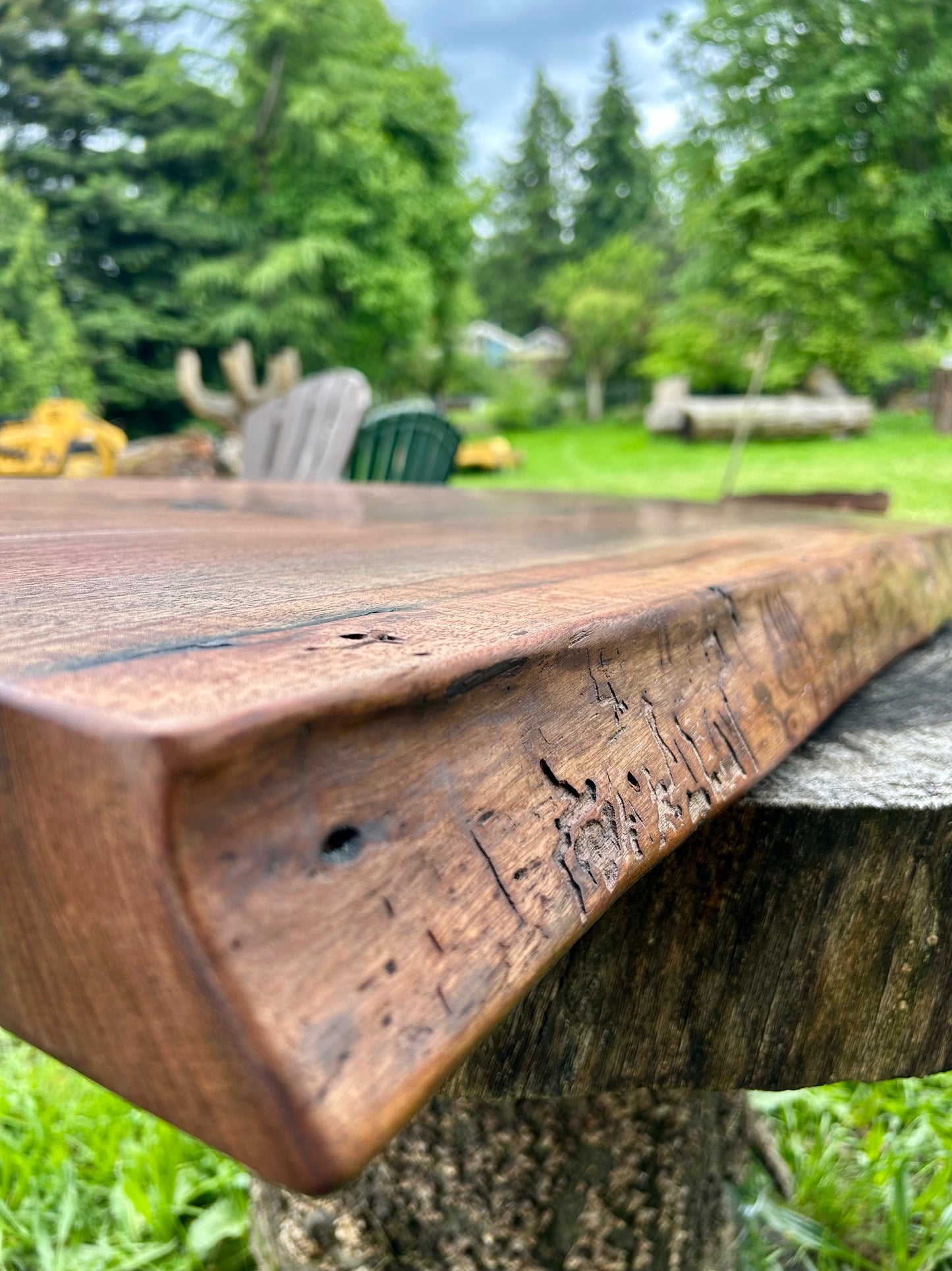 Finished Black Walnut Slab