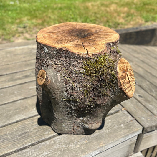 Dogwood Round