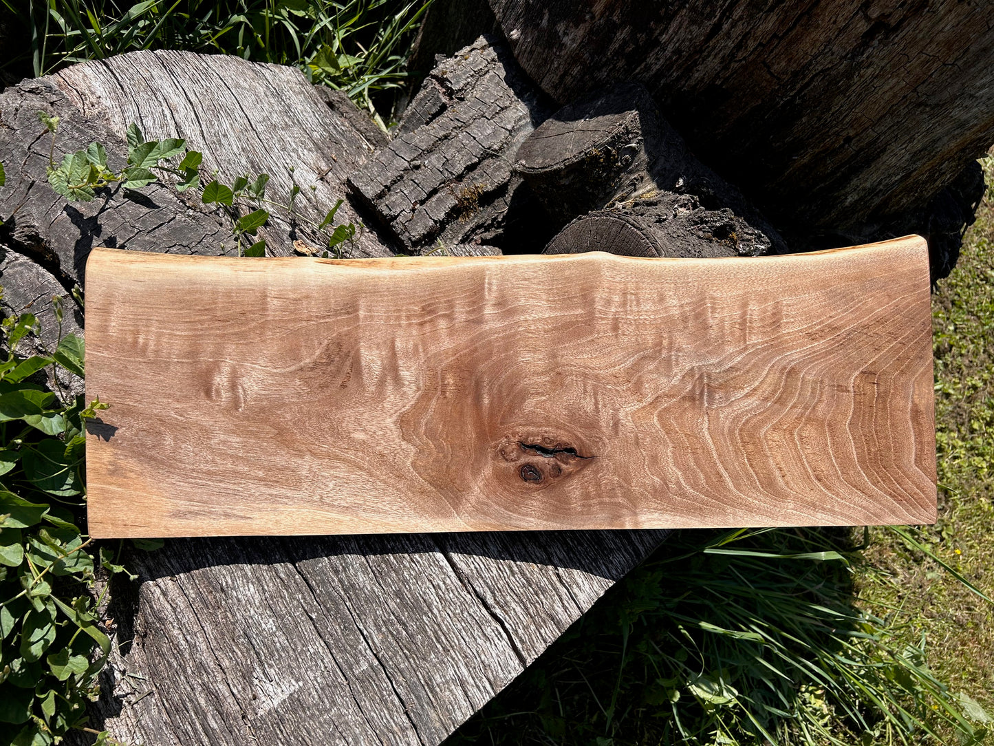 Small Black Walnut Shelf