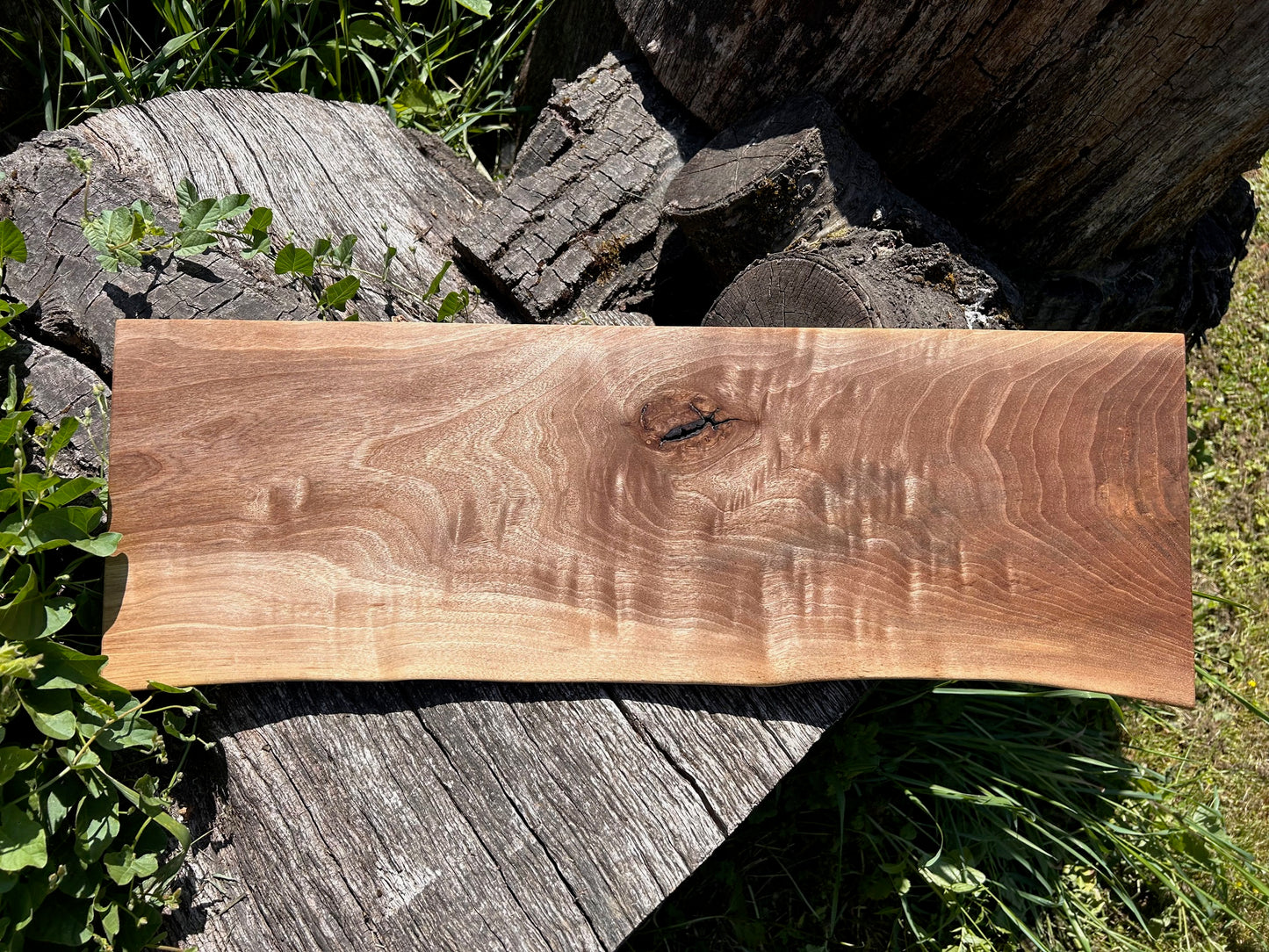 Small Black Walnut Shelf