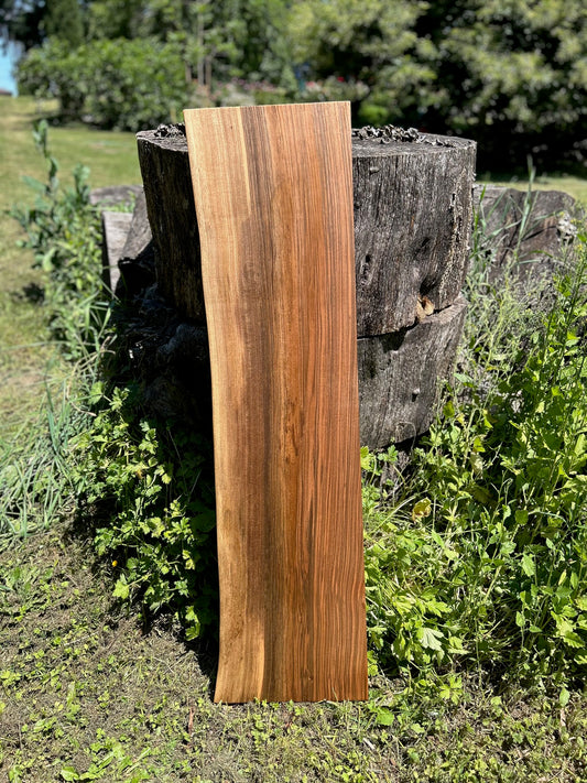 Black Walnut Shelf