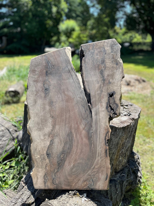 Black Walnut Slab