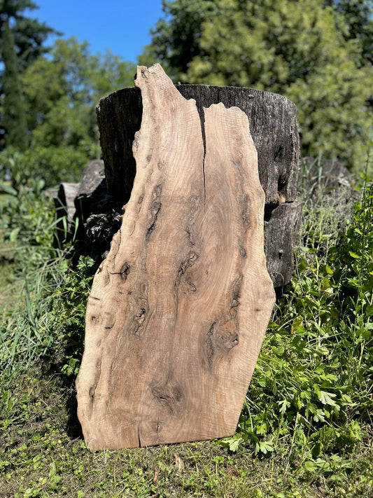 Black Walnut Slab