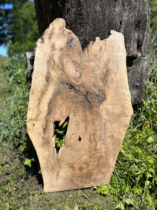 Black Walnut Slab
