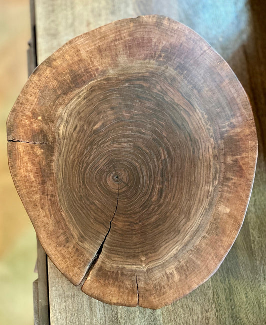 Live Edge Black Walnut Turntable