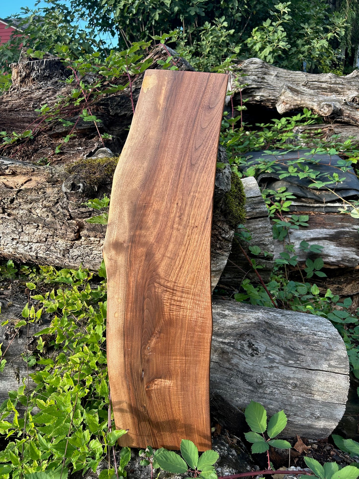 Large Black Walnut Charcuterie Board