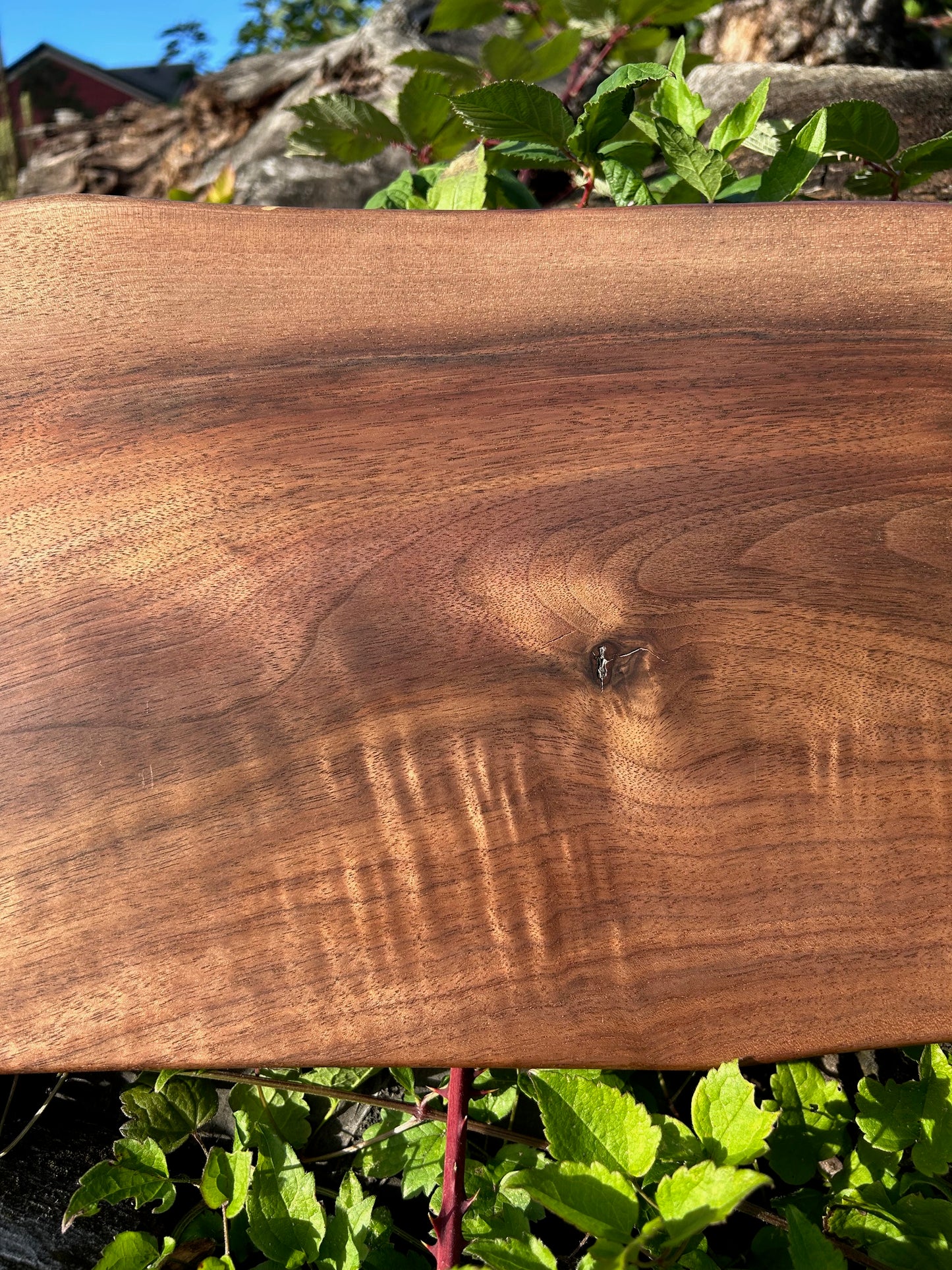 Large Black Walnut Charcuterie Board